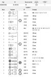 Комбинированный комплект торцевых ключей HEYCO 30-3010-M HE-00030301083